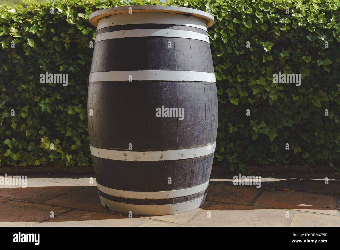 Grande botte di vino di colore scuro con strisce bianche si erge su un pavimento piastrellato vicino a una siepe verde, creando un'atmosfera rustica Foto Stock