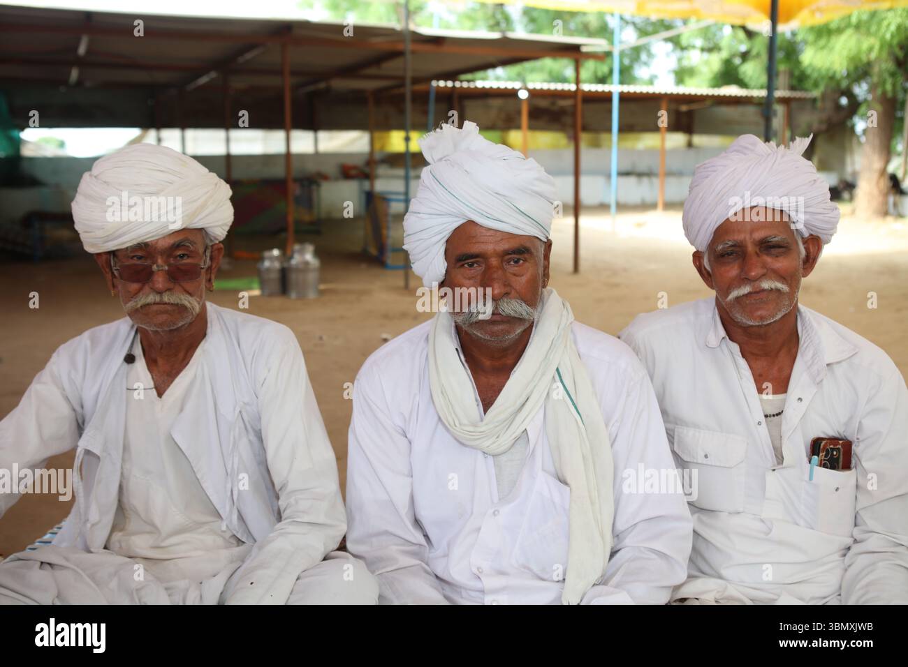 Tre uomini Marwari anziani seduti alla cerimonia di nozze indiana Foto Stock