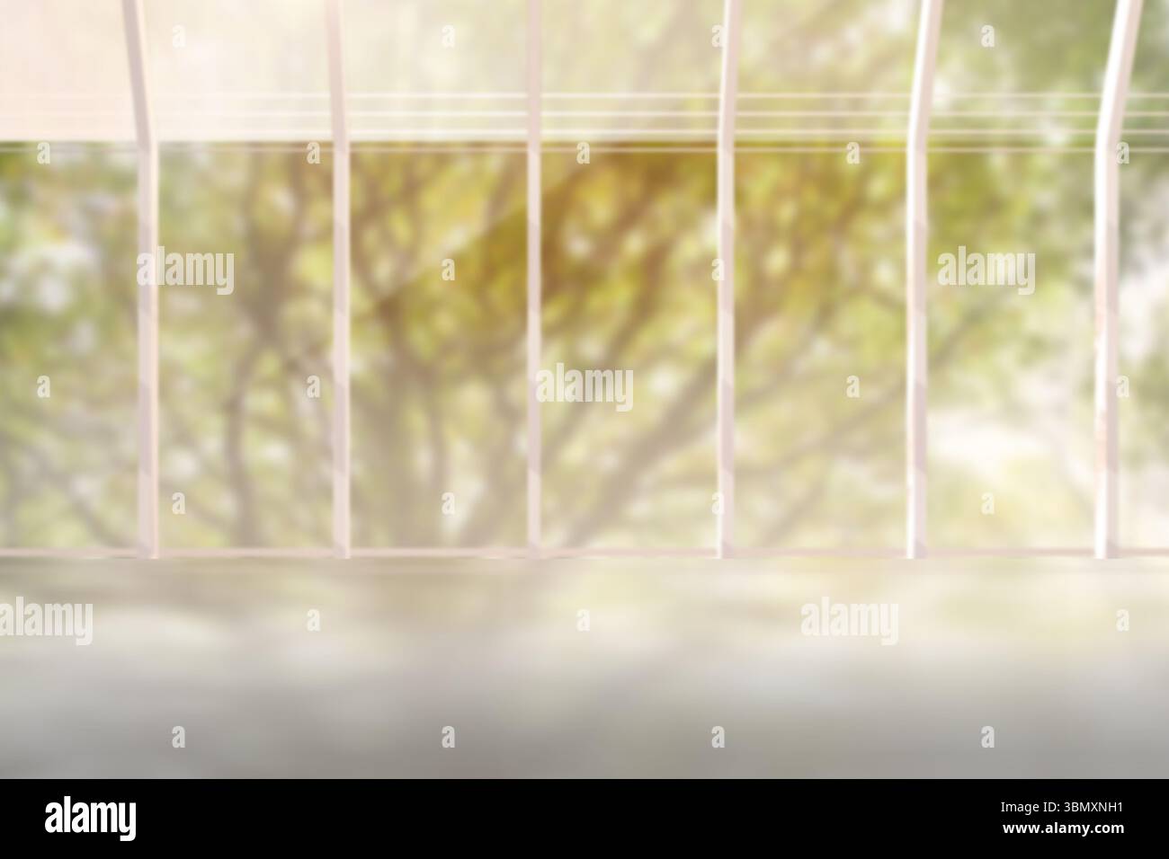 Le camere dal design piatto sono caratterizzate da alte finestre che filtrano la luce del giorno su una superficie liscia del pavimento Foto Stock