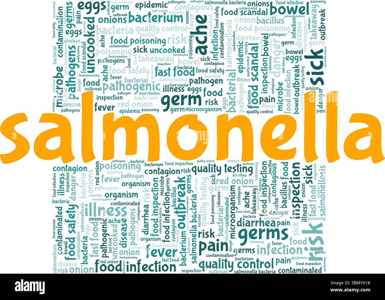 Progettazione concettuale di nuvole di parole Salmonella isolata su sfondo bianco. Illustrazione Vettoriale