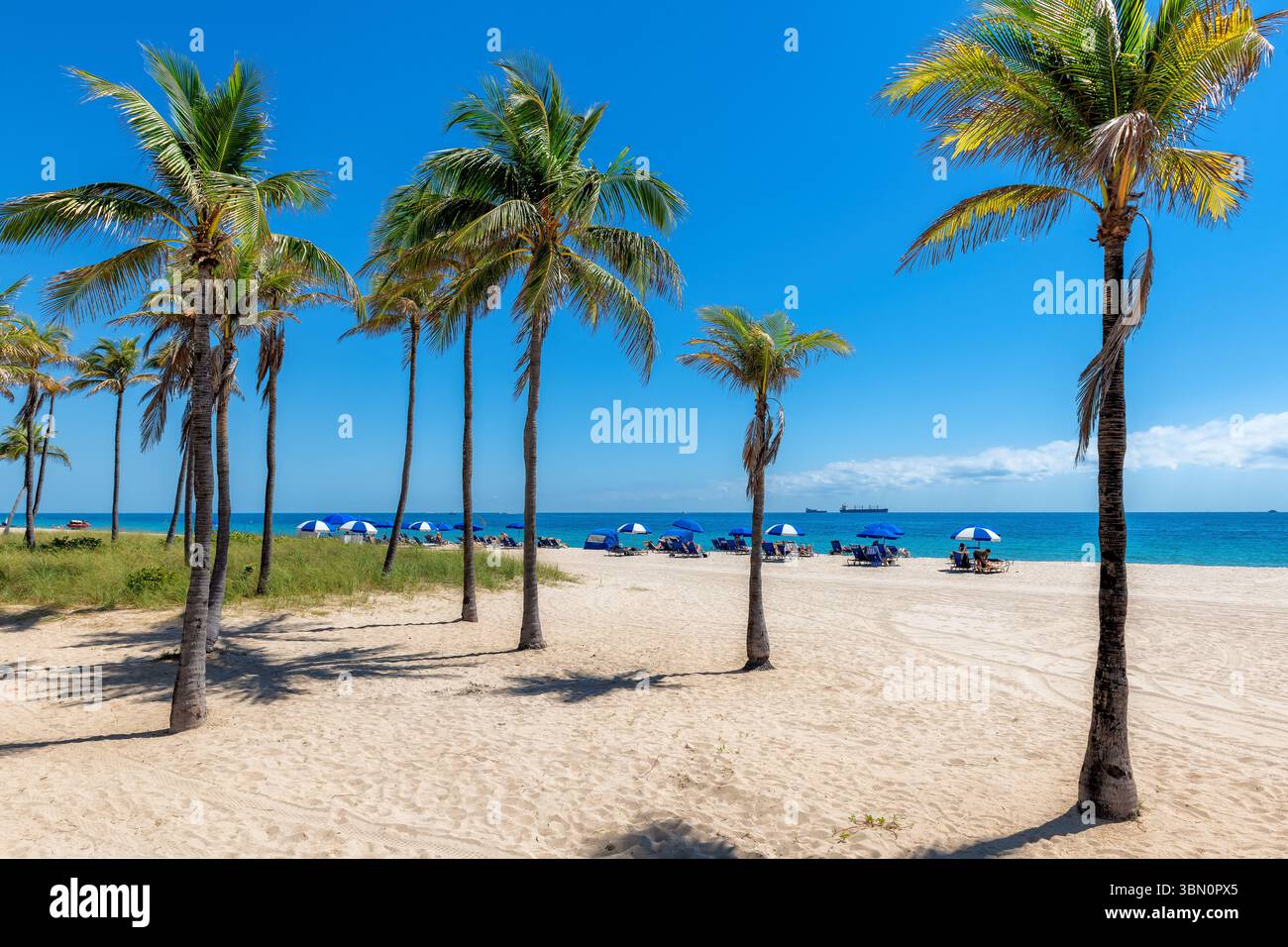 Spiaggia tropicale soleggiata con palme, ombrelloni e mare tropicale a Fort Lauderdale, Florida Foto Stock