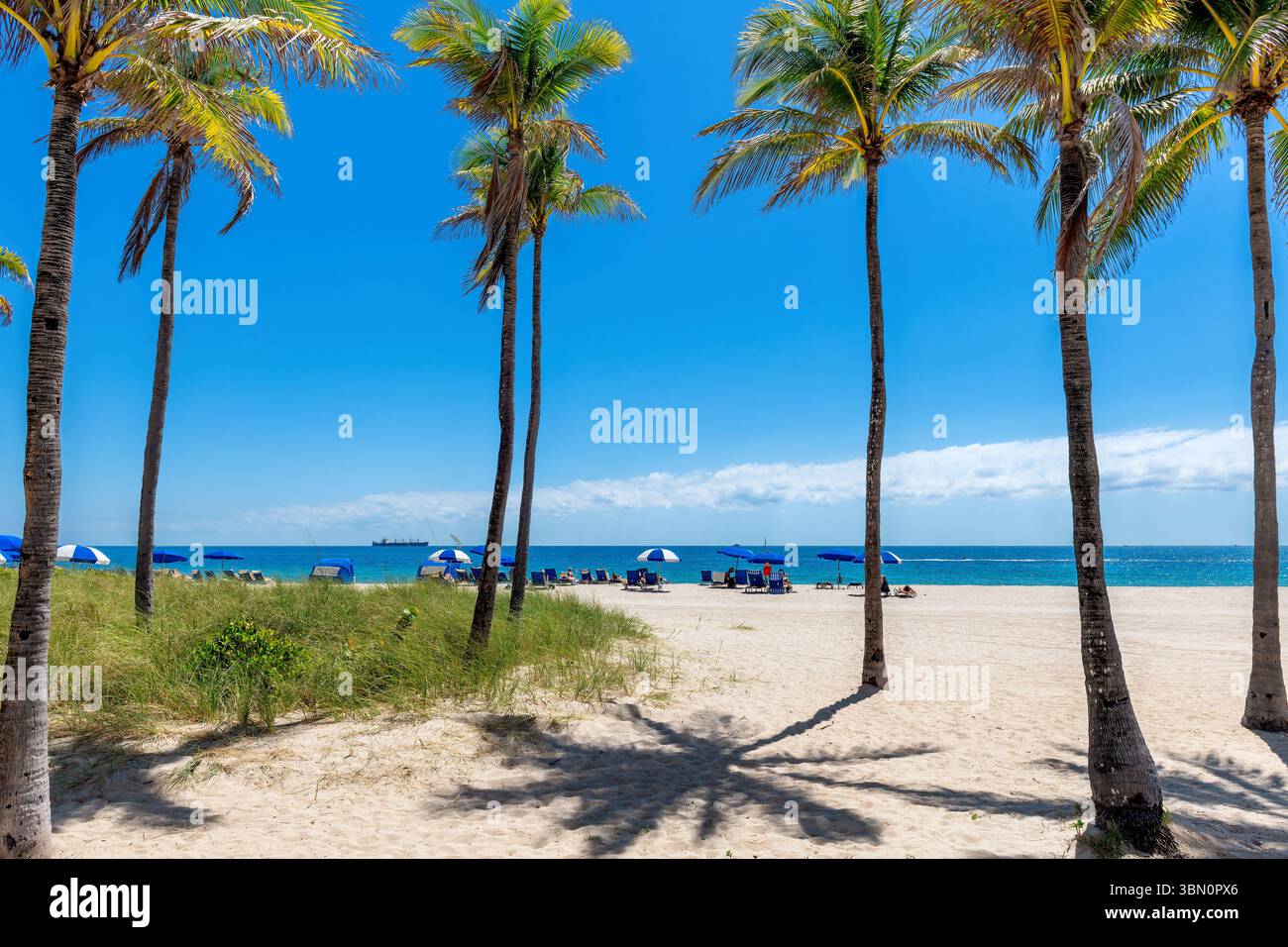 Spiaggia tropicale soleggiata con palme, ombrelloni e mare tropicale a Fort Lauderdale, Florida Foto Stock
