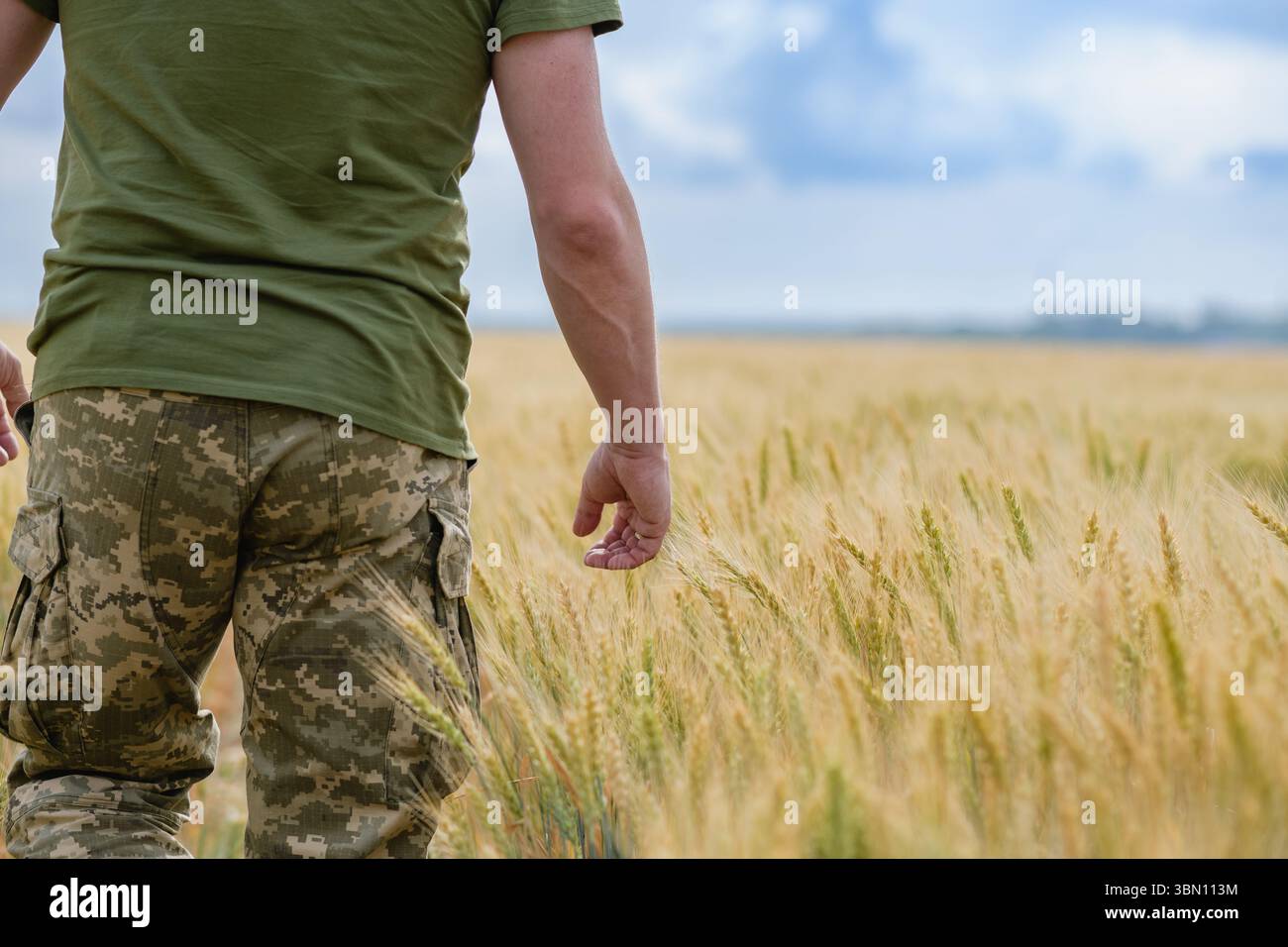 Vista posteriore di un soldato ucraino con pantaloni mimetici e camicia verde che cammina attraverso un campo di grano maturo. Foto Stock