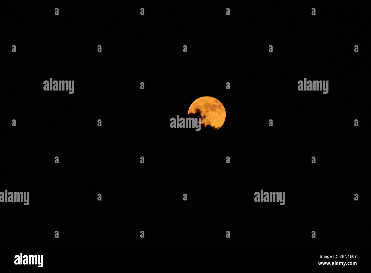Una fotografia drammatica della luna piena che si illumina di arancione attraverso sottili nuvole di notte, apparendo sul paesaggio nel luglio 2024 chiamato Blue Moon. Foto Stock