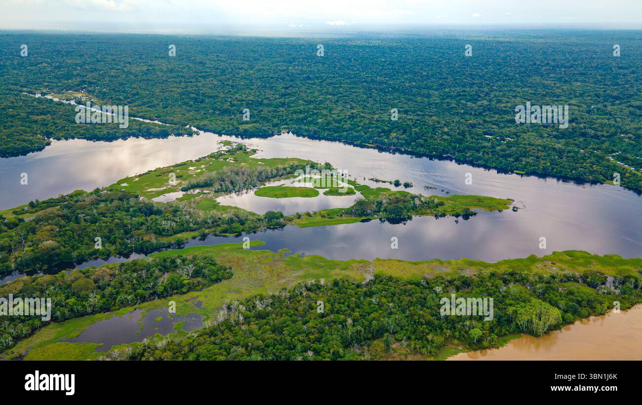 Splendida vista aerea del Rio delle Amazzoni e della lussureggiante vegetazione di Leticia, Amazonas, che mostra la vibrante biodiversità della giungla tropicale. Foto Stock