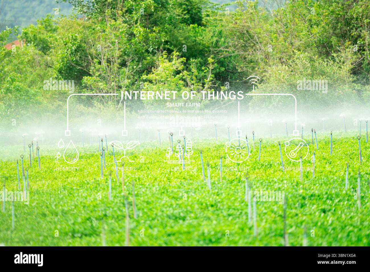 Sistema di irrigazione intelligente per agricoltura con tecnologia sprinkler automatica e sensori di umidità per un'agricoltura di precisione sostenibile e acqua efficiente Foto Stock Sistema di irrigazione intelligente per agricoltura con tecnologia sprinkler automatica e sensori di umidità per un'agricoltura di precisione sostenibile e acqua efficiente Foto Stock