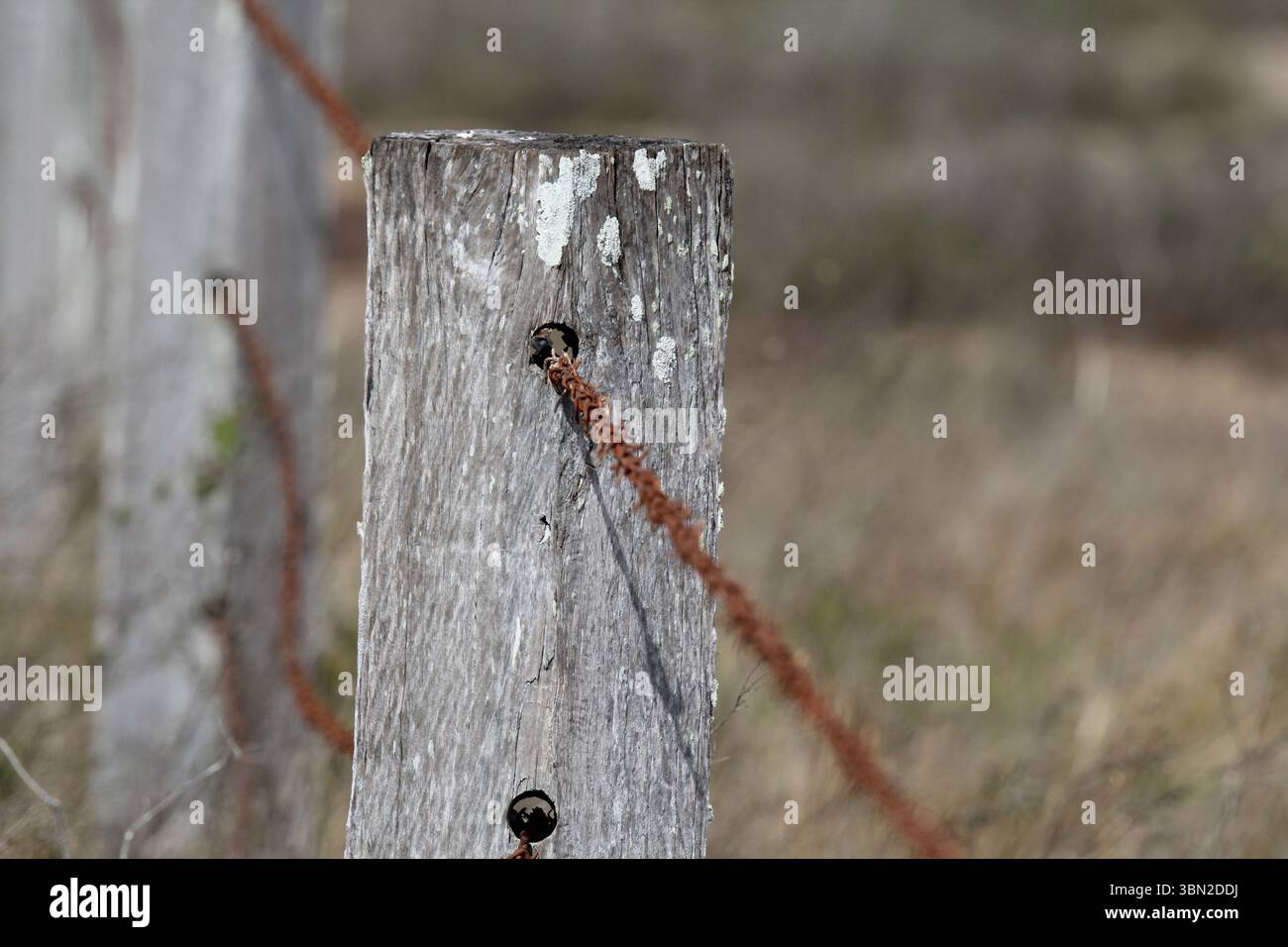 Palo di recinzione con filo spinato in campagna Foto Stock