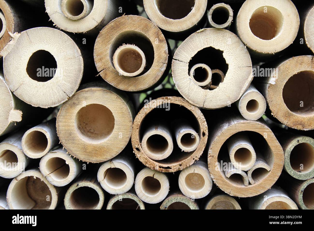 Primo piano di un hotel di api di legno Foto Stock