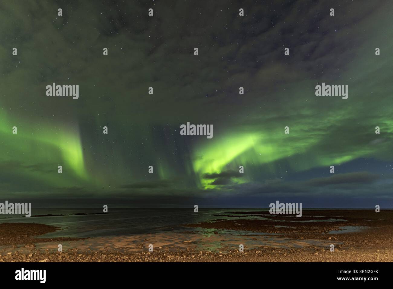 Aurora boreale sul mare in Islanda. Foto Stock