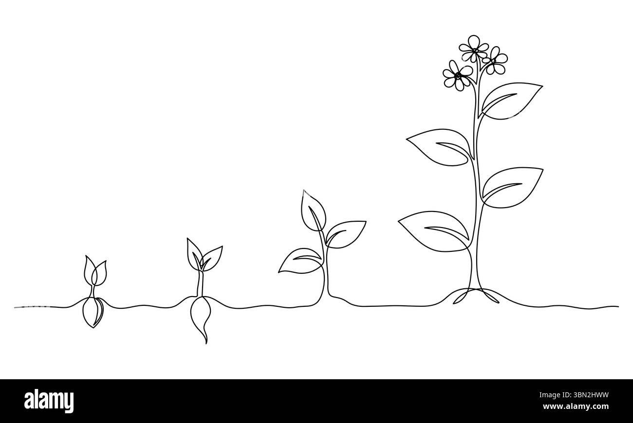 Disegno continuo su una linea delle fasi di crescita delle piante. Semi che germogliano nel terreno. Piantine di piante da giardino, germogli. Grafico vettoriale di disegno a linea singola Illustrazione Vettoriale
