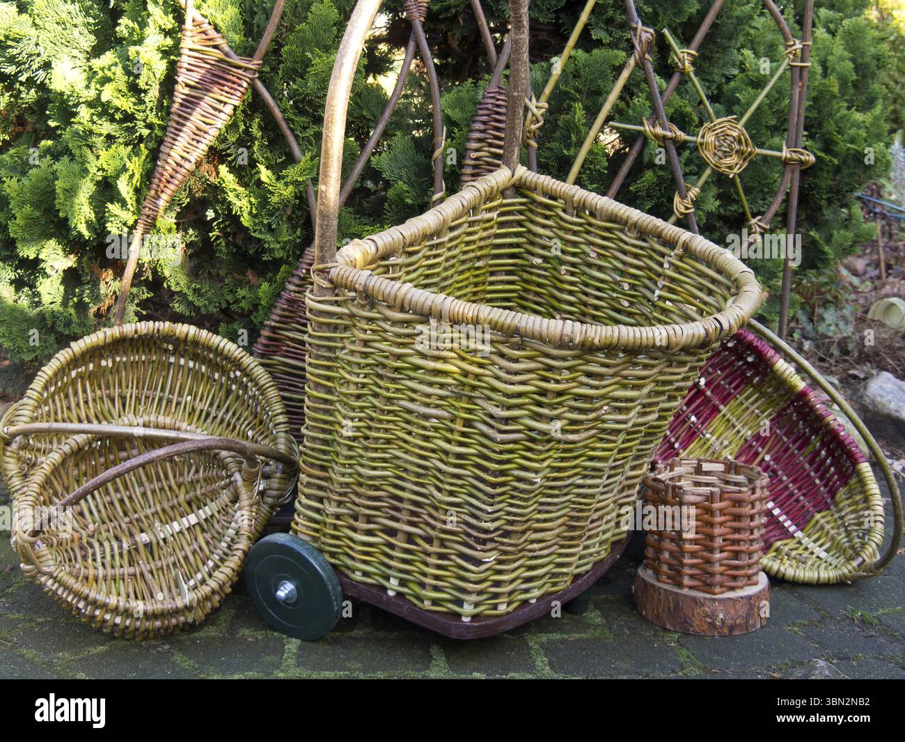 Cesti di vimini intrecciati di fronte a una siepe sempreverde con fascino rustico, Borken, muensterland, Germania, Europa Foto Stock