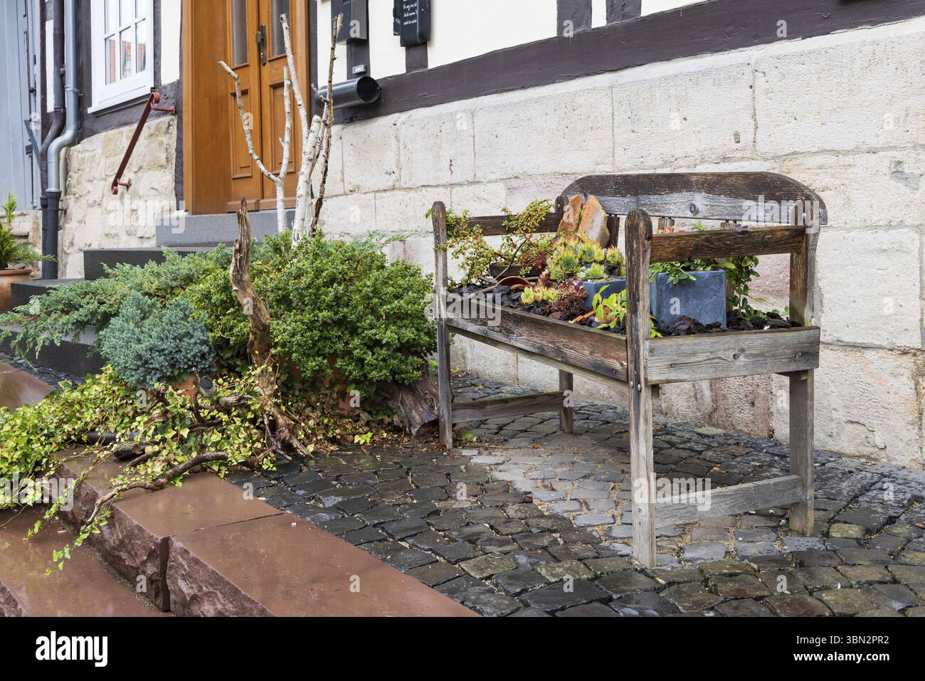Verde urbano nella città storica di Bad Sooden-Allendorf in Assia, Germania, Europa Foto Stock