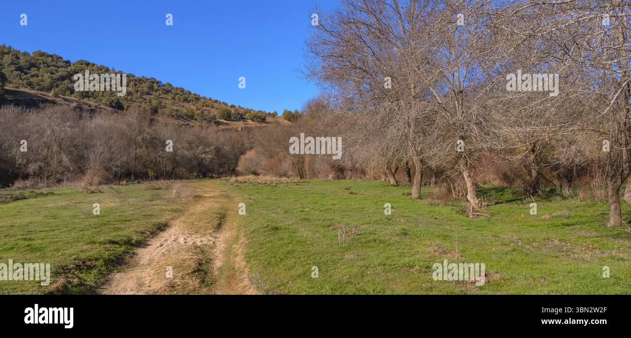Paesaggio naturale del sentiero del fiume Piron, valle del fiume Piron, Segovia, Castiglia e León, Spagna, Europa Foto Stock