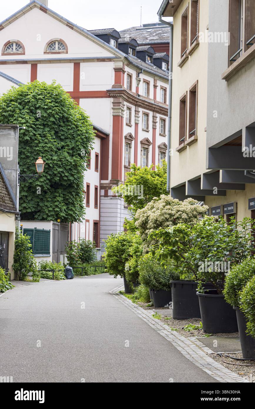 Verde urbano nel centro del dipartimento di Mulhouse nella regione Haut-Rhin Elsace in Francia Foto Stock