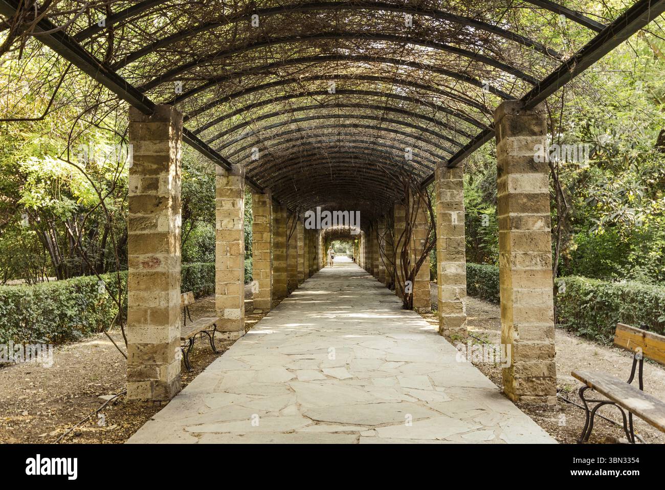 Paesaggio con pergola rosa e bacino idrico nel giardino nazionale di Atene in Grecia, nel centro della città Foto Stock