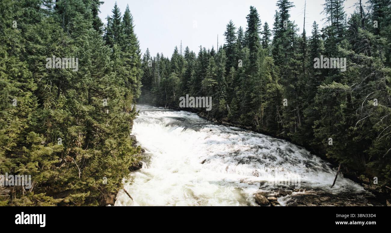 Il design piatto raffigura rapide di acqua bianca che attraversano foreste sempreverdi con rocce esposte Foto Stock