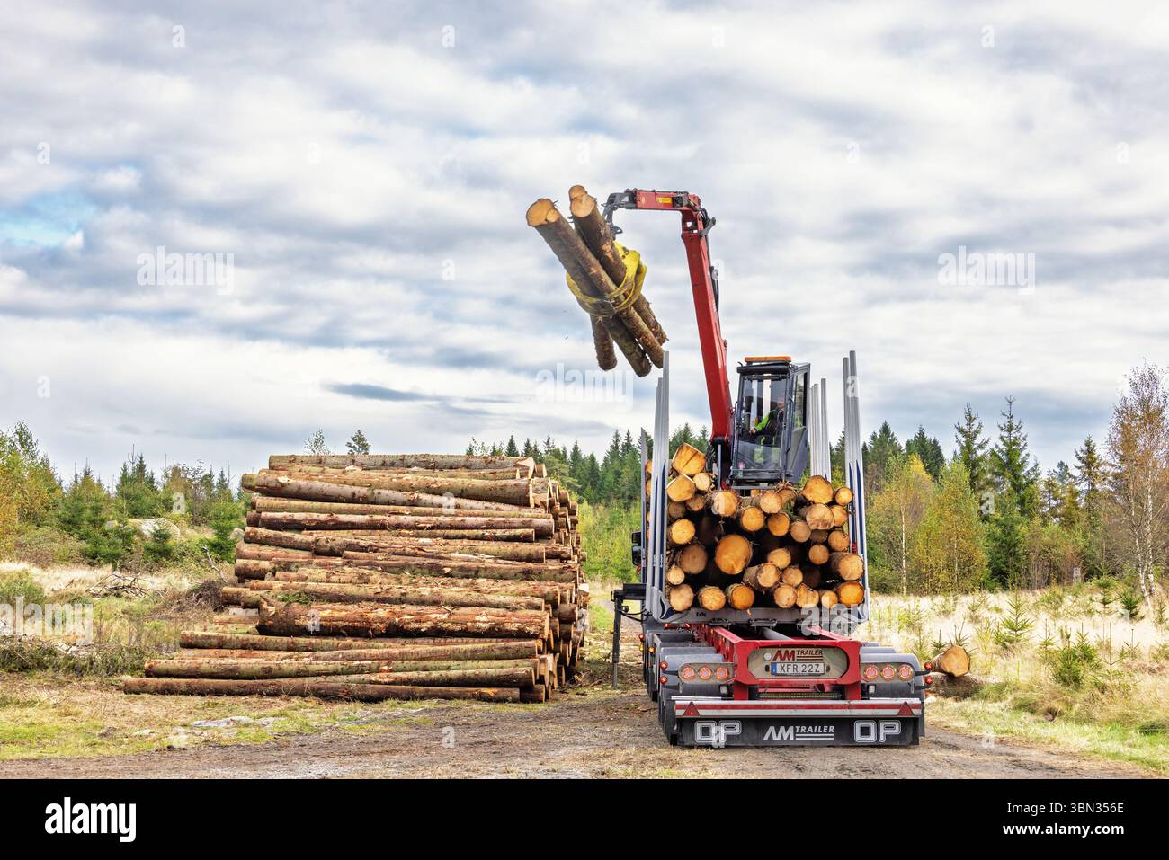 Gru che solleva tronchi di legno sul rimorchio del veicolo Foto Stock