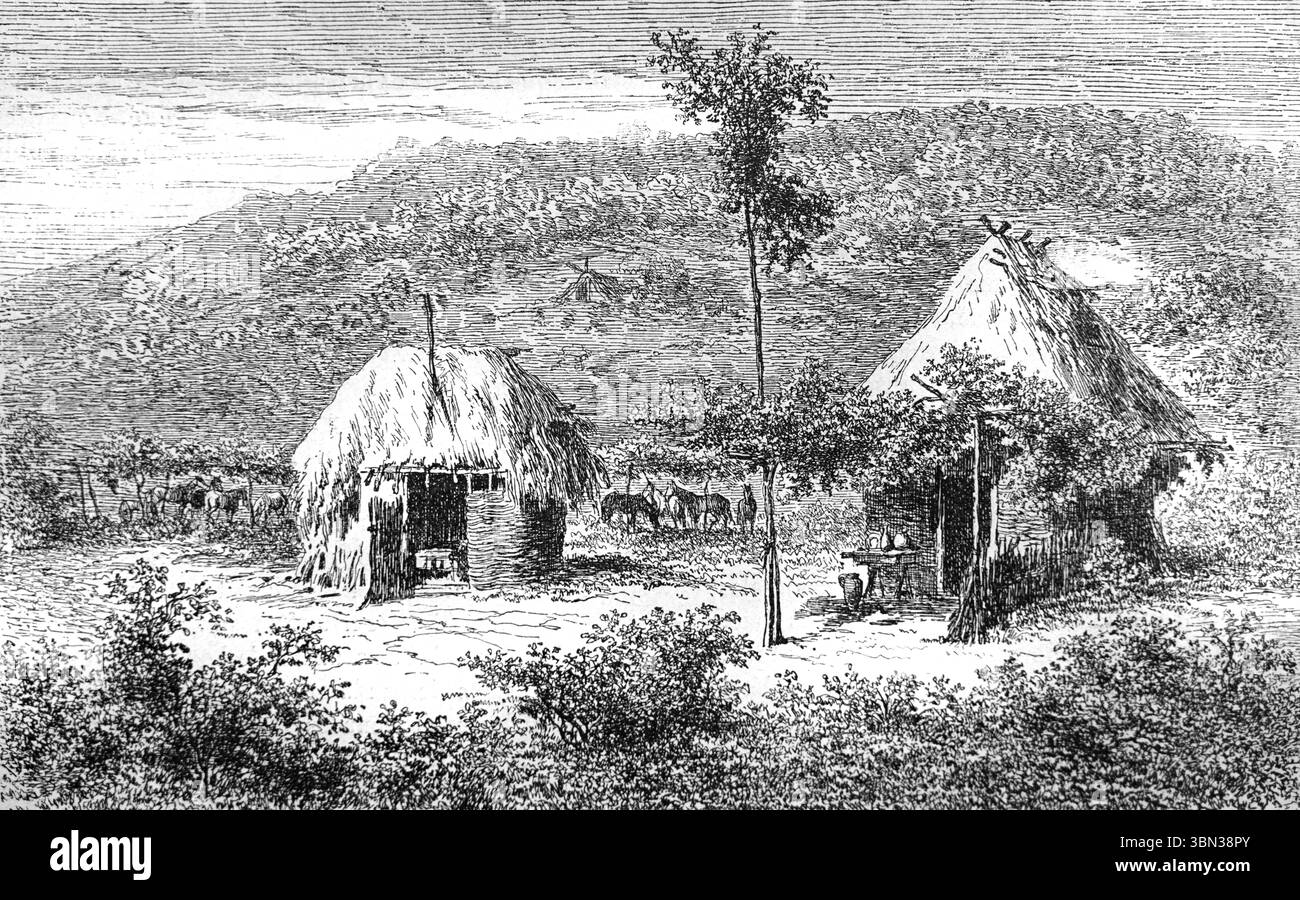 Relais de Poste rurale tradizionale, stazione di staffaggio, stazione di palcoscenico, stazione di posta, posta di staging, casa postale, Posthouse o Casa postale nella campagna rumena o nella Romania rurale. Incisione vintage o storica o illustrazione 1866 Foto Stock