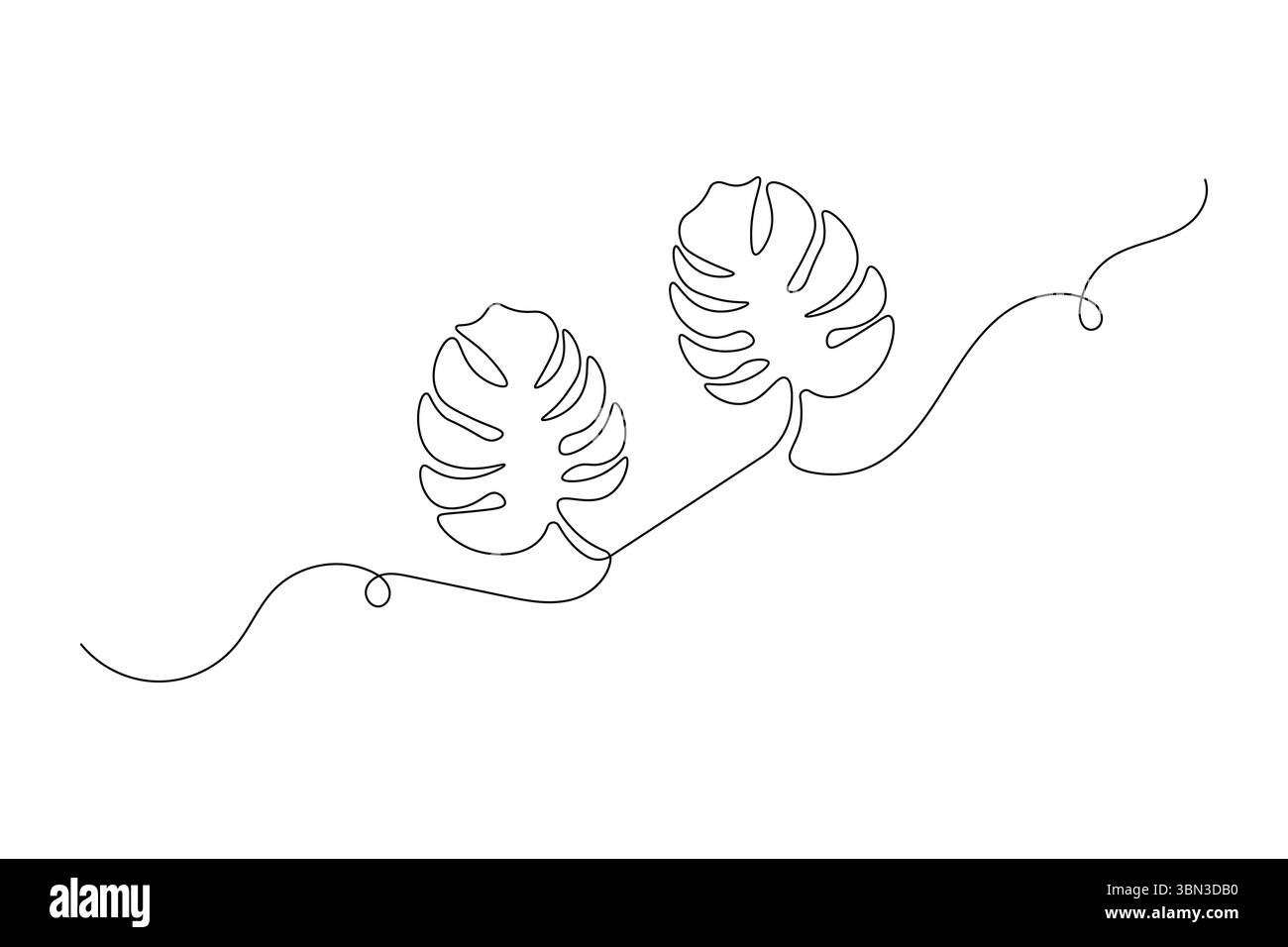Monstera Leaf una linea disegna minimalista grafica continua vettoriale isolato Illustrazione Vettoriale