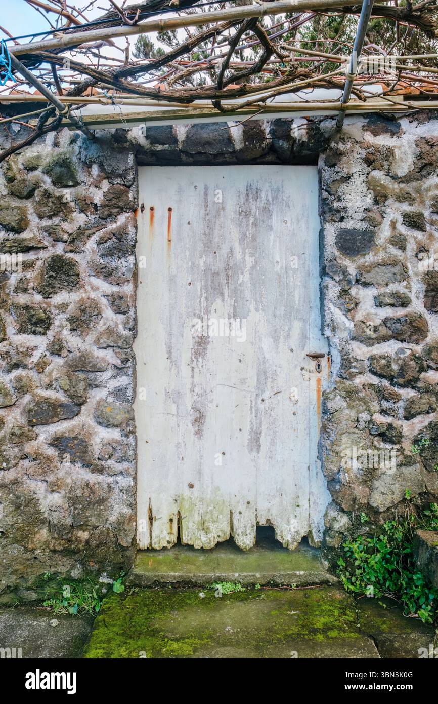 Porta bianca intemprata in Un muro di pietra rustico con viti sopra la testa. Ingresso abbandonato, fascino rurale, sfondo testurizzato, degrado naturale Foto Stock
