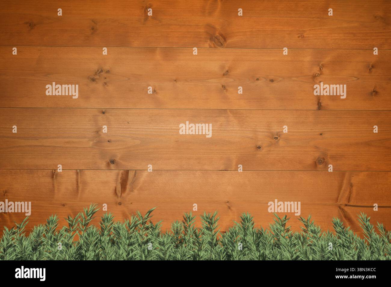 Rametti verdi contro il muro di legno Foto Stock
