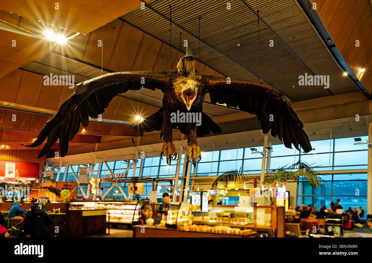 Aeroporto di Wellington, Wellington, isola nord, Aotearoa / nuova Zelanda - 9 maggio 2025: Aquila gigante che trasporta Gandalf, la scultura maga di Wellington, nuova Zelanda Foto Stock