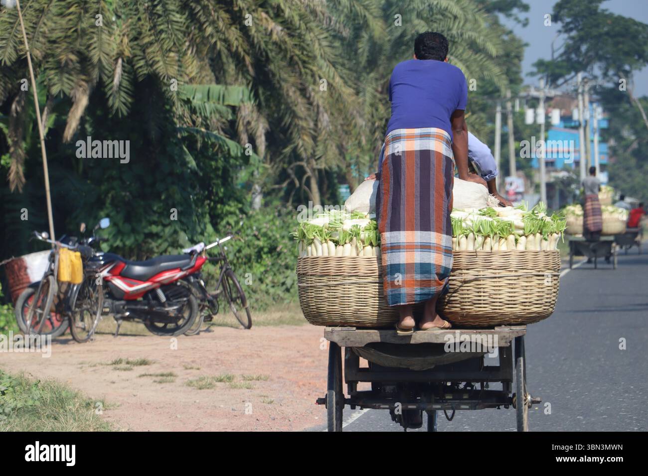 Un agricoltore trasporta freschi radiaci bianchi in grandi cesti di bambù su un carro trainato a mano lungo una strada rurale in Bangladesh. Foto Stock