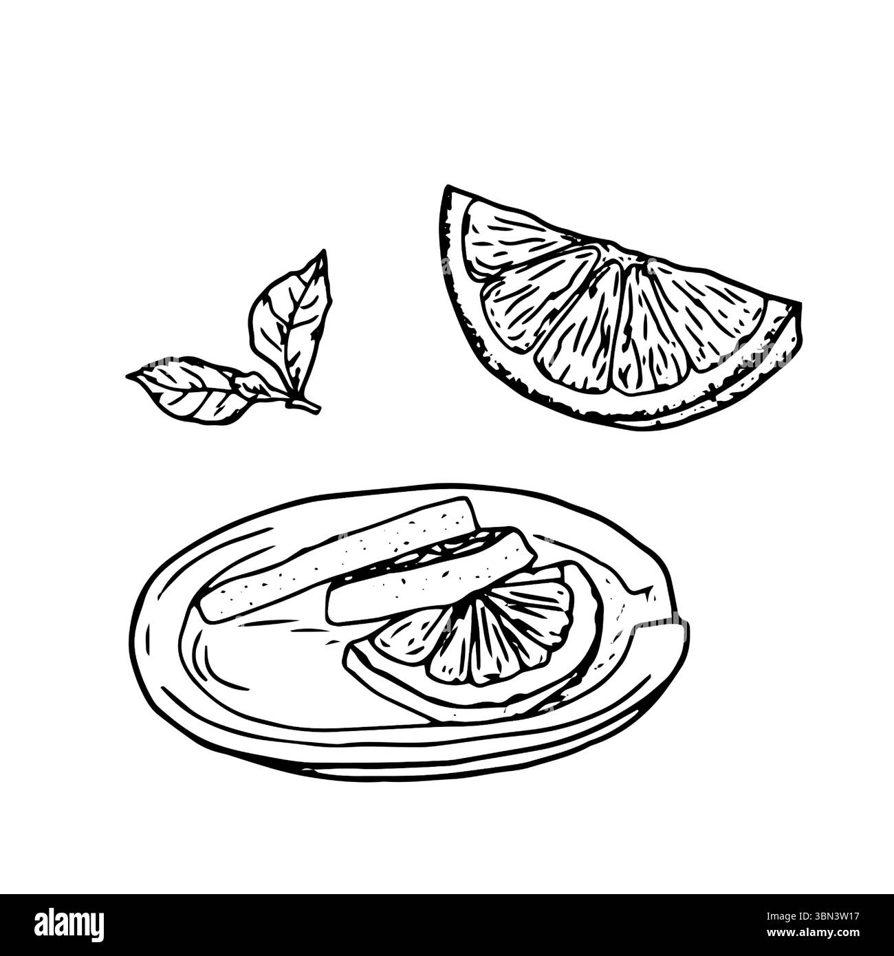 Le fette di limone sono su un piattino. Illustrazione vettoriale. Una fetta di foglie di arancia e menta, il set è isolato su uno sfondo bianco. Per la festa del tè, pr Illustrazione Vettoriale