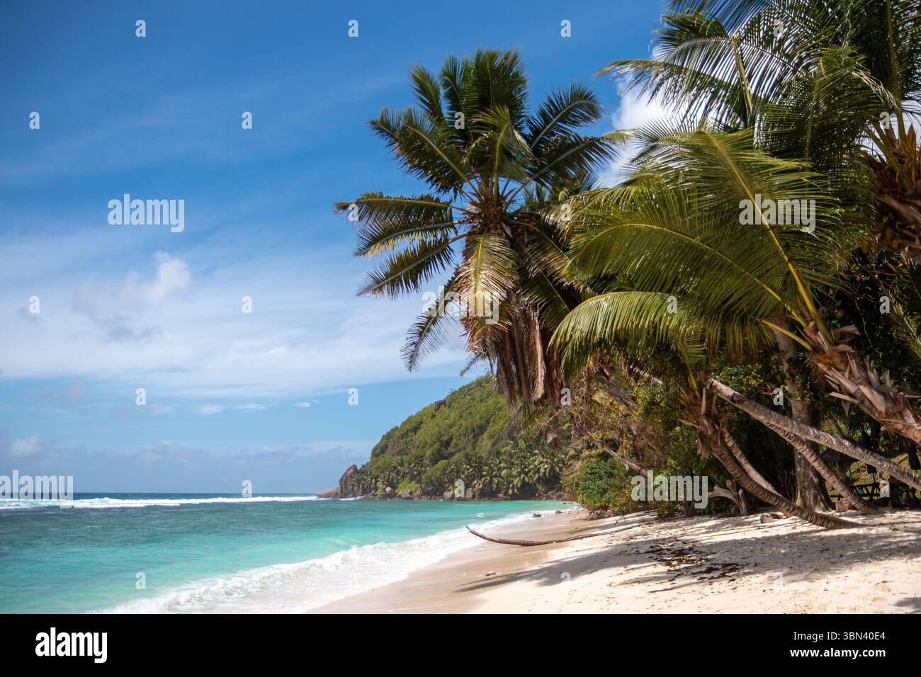 Un lussureggiante promontorio verde con alberi da cocco e sabbia bianca incontra l'acqua turchese sull'isola di Mahe, nelle Seychelles, sotto un cielo blu brillante. Foto Stock