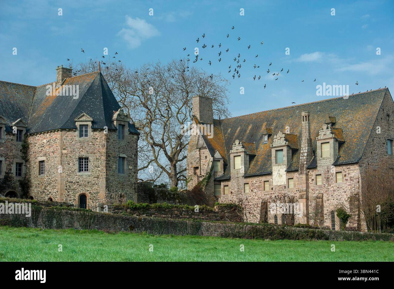 Francia. Brittany. Cotes d'Armor. Beauport Abbey (comune di Paimpol). A sinistra: La casa capitolare, a destra la Salle-au-Duc Foto Stock