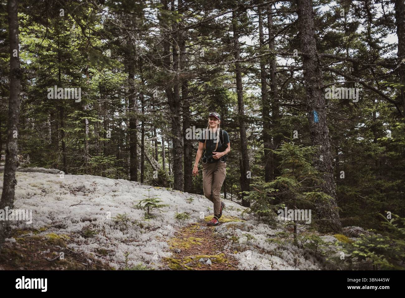 Una donna cammina attraverso fitti boschi con licheni nel Maine Foto Stock