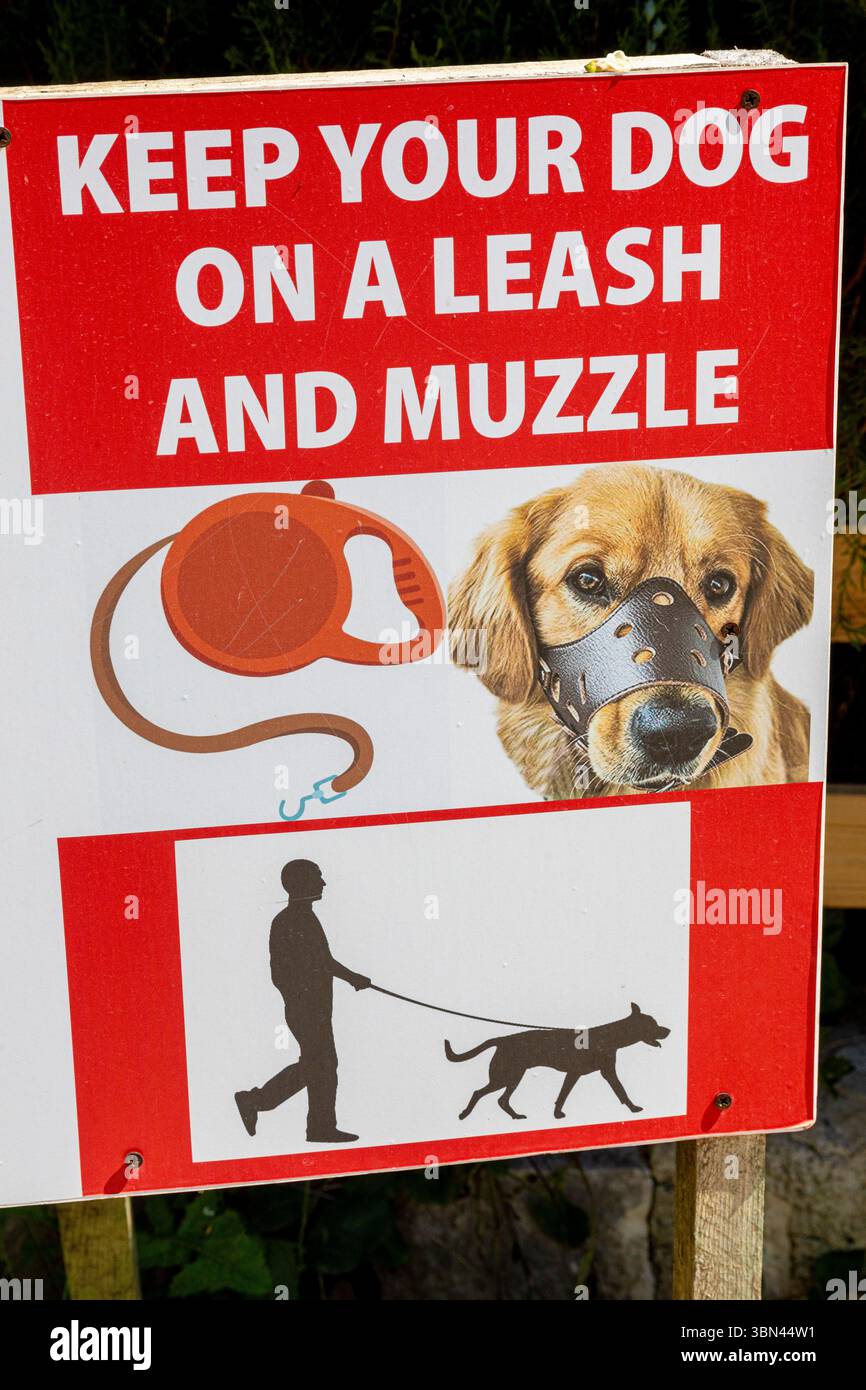 Cartello indicante che i cani devono essere tenuti al guinzaglio e muzzoliti Foto Stock