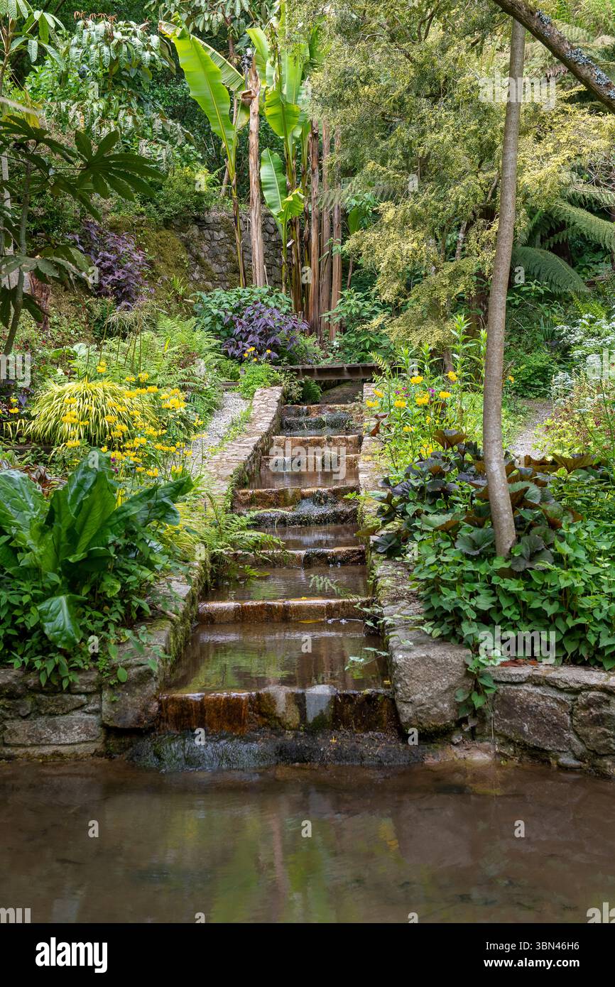 Francia. Brittany. Cotes d'Armor. Tregor. Plouguiel. Giardino botanico le Kestellic. Una cascata Foto Stock