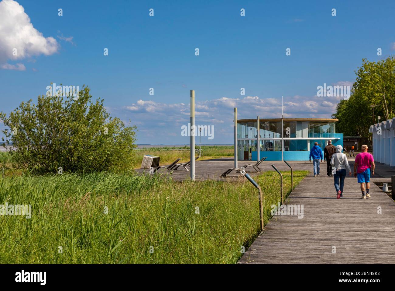 Francia, Nouvelle-Aquitaine, Gironde, estuaire de la Gironde, cote Medoc, Pauillac Foto Stock