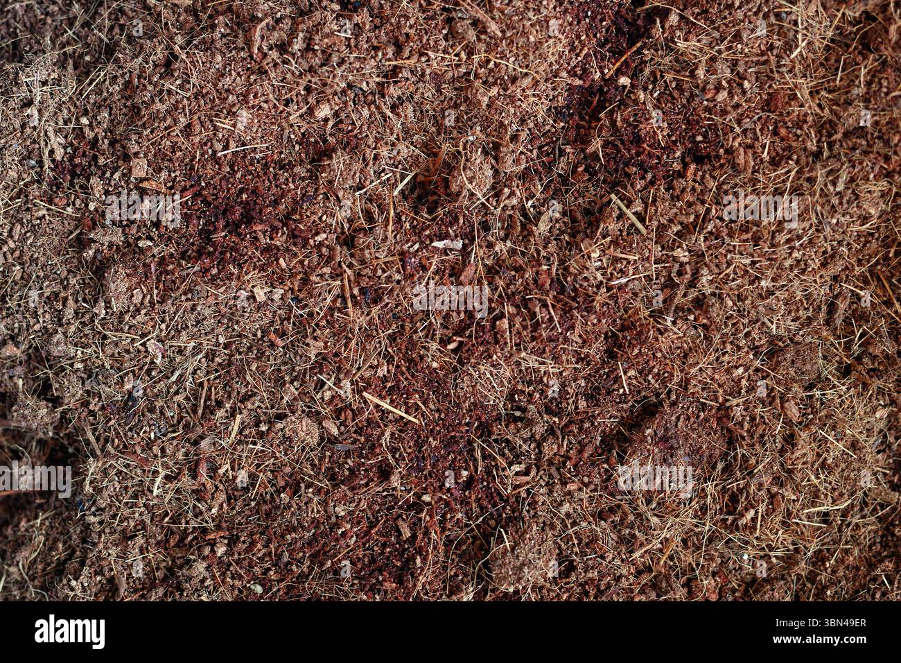 Primo piano della consistenza del suolo di cocco per un giardinaggio sostenibile Foto Stock