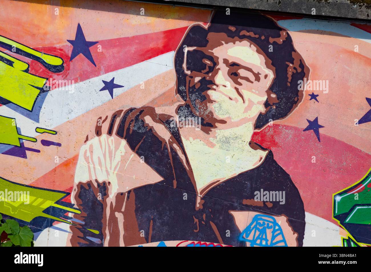 Affresco con il volto di James Brown Foto Stock