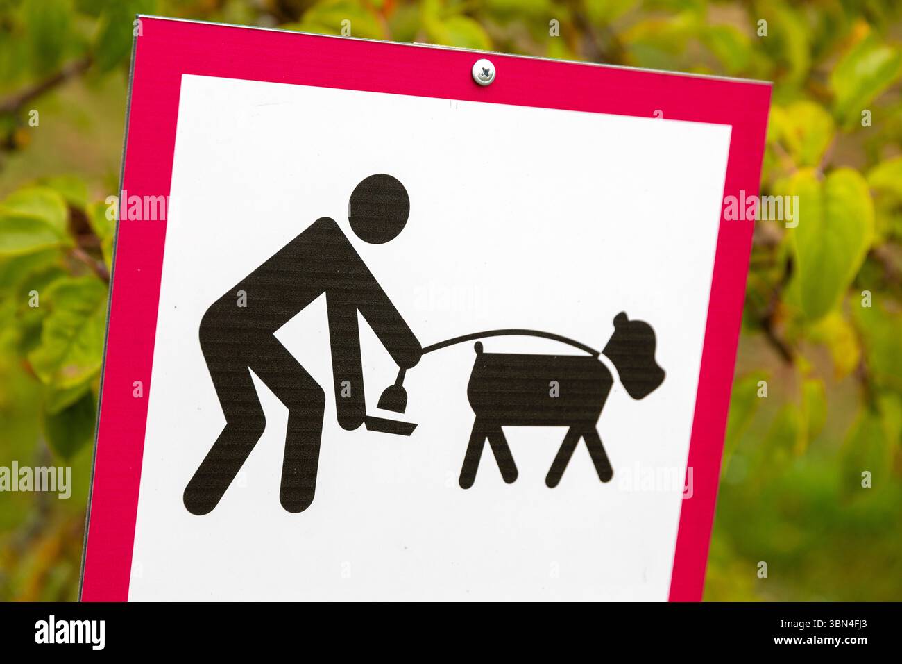 Segnali che ti chiedono di raccogliere escrementi di cani Foto Stock