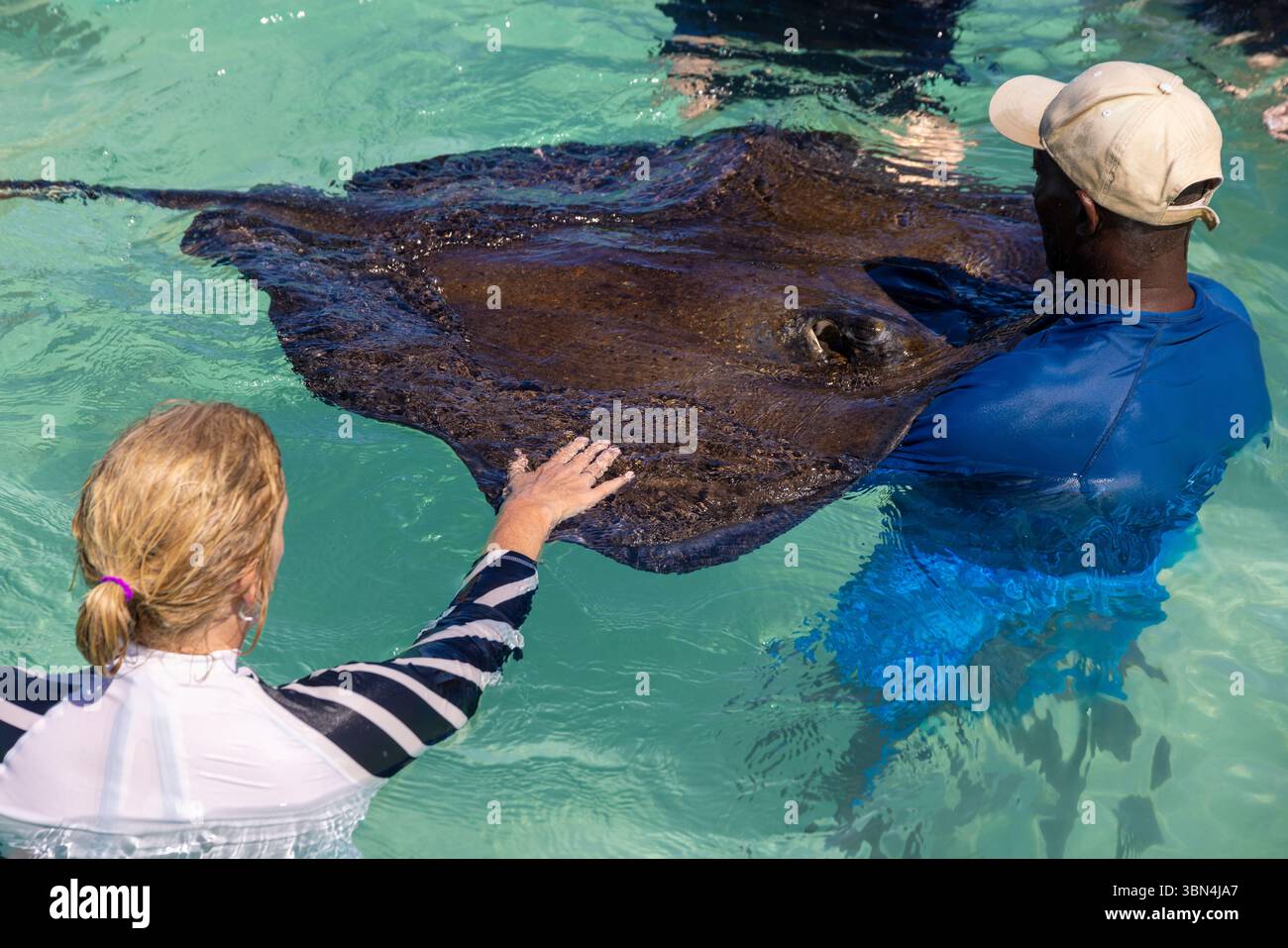 Antigua e Barbuda, Indie occidentali, Antigua Island. Stingray City, Antigua Foto Stock