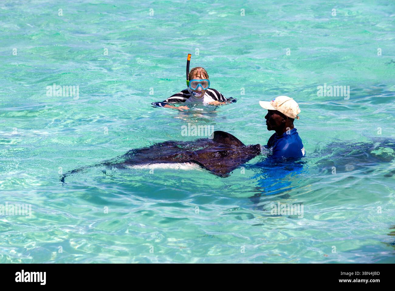 Antigua e Barbuda, Indie occidentali, Antigua Island. Stingray City, Antigua Foto Stock
