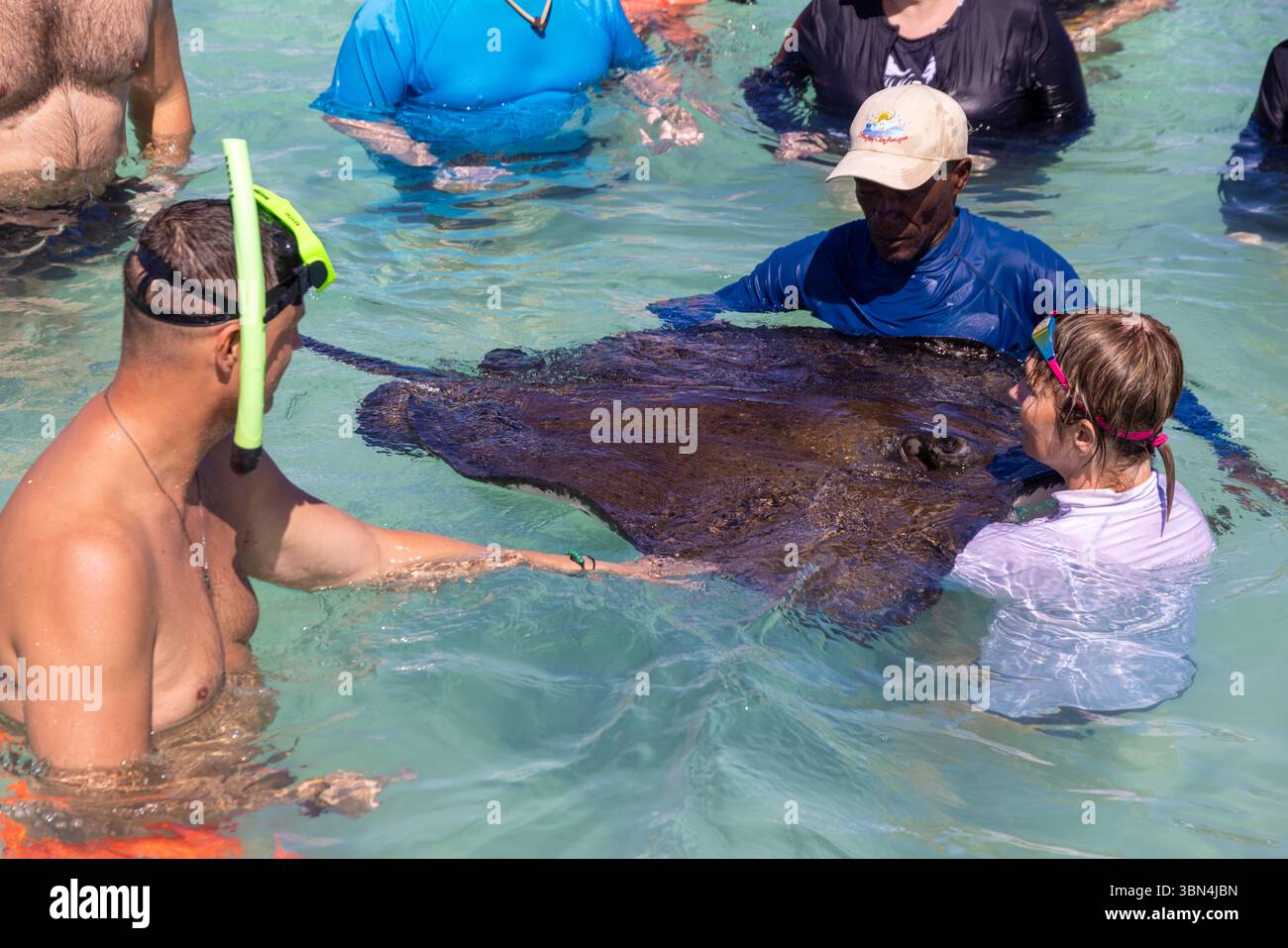 Antigua e Barbuda, Indie occidentali, Antigua Island. Stingray City, Antigua Foto Stock