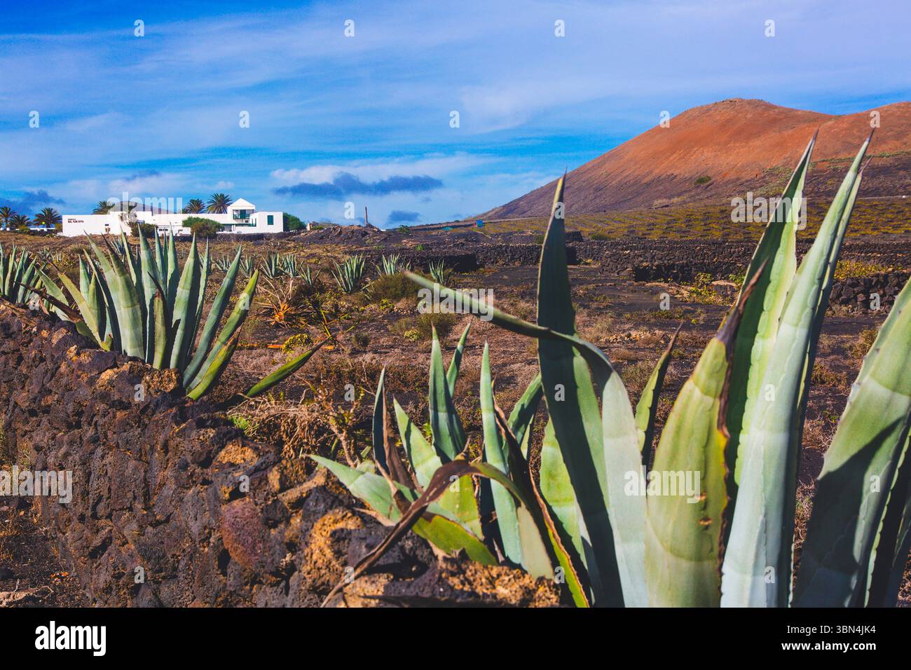 Spagna, Isole Canarie, Lanzarote. Paesaggio che include l'interno dell'isola Foto Stock Spagna, Isole Canarie, Lanzarote. Paesaggio che include l'interno dell'isola Foto Stock