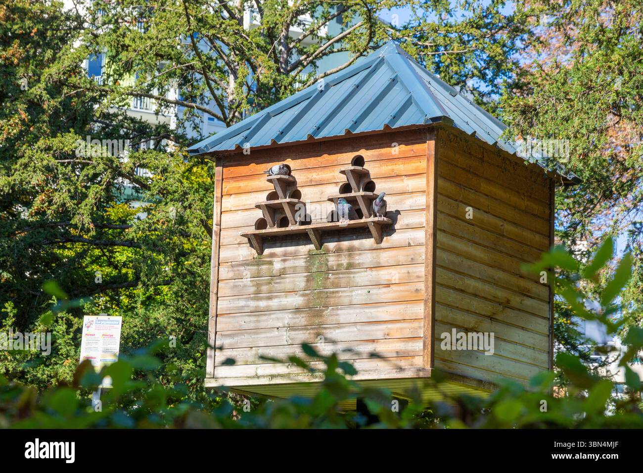 Colombaia Foto Stock