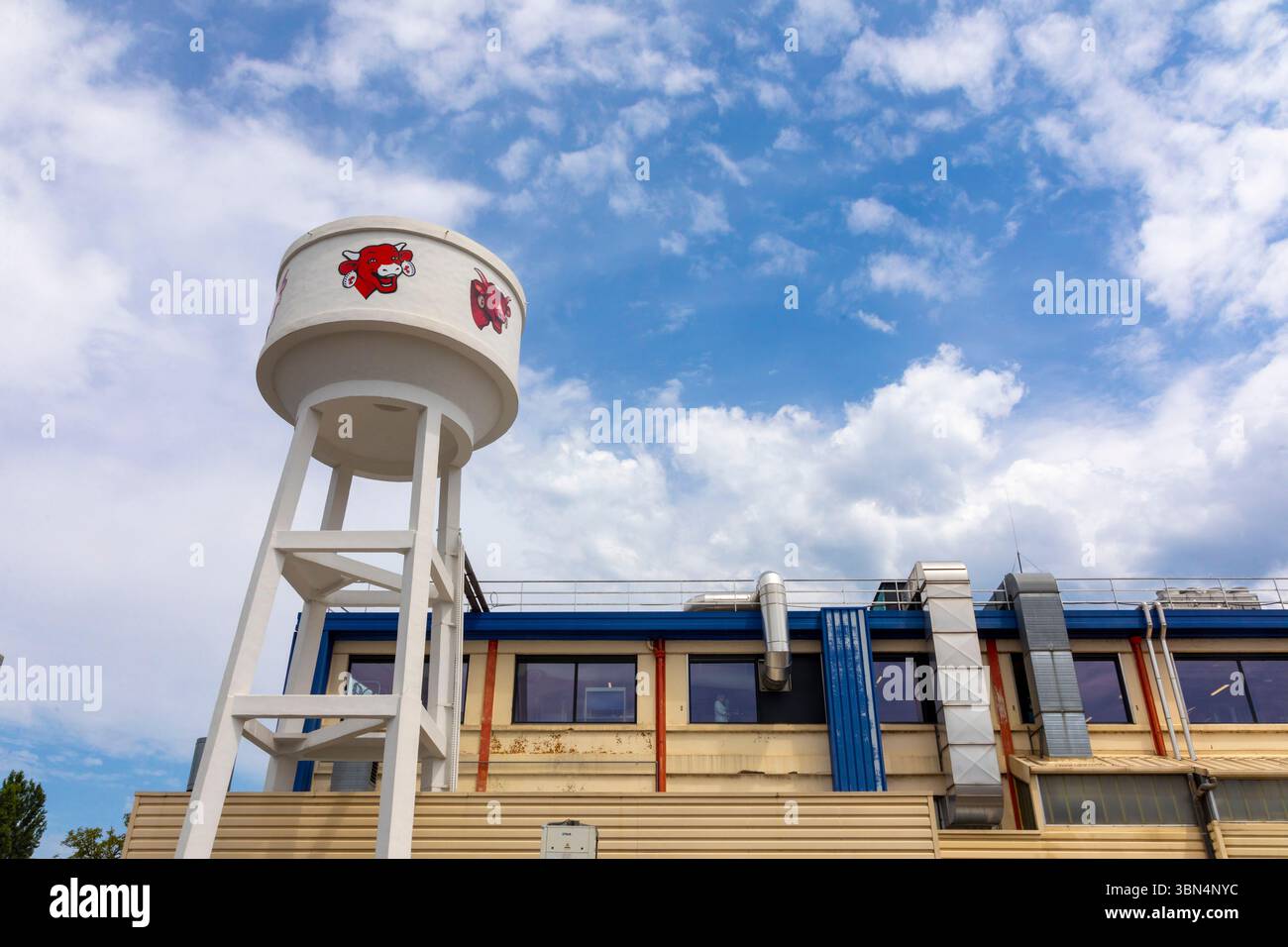 Francia, Giura, Franca Contea, Borgogna-Franca Contea, Lons-le-Saunier. Fabbrica. Caseifici bel. La mucca che ride Foto Stock