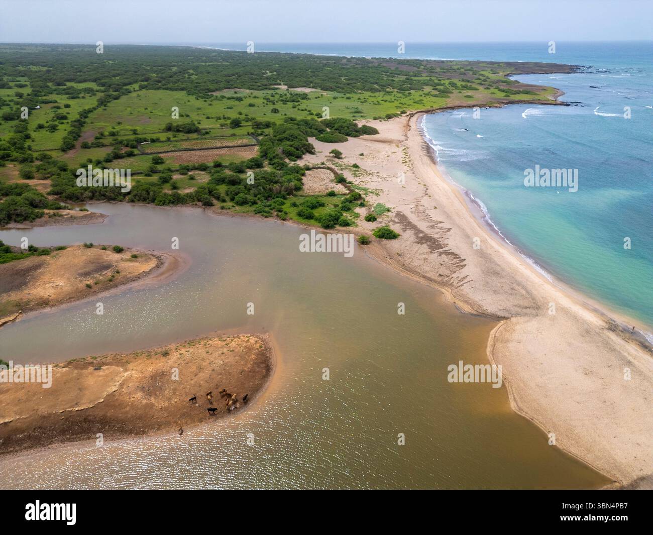 Africa, Isola di Capo Verde, Isola di Maio. Calheta Foto Stock