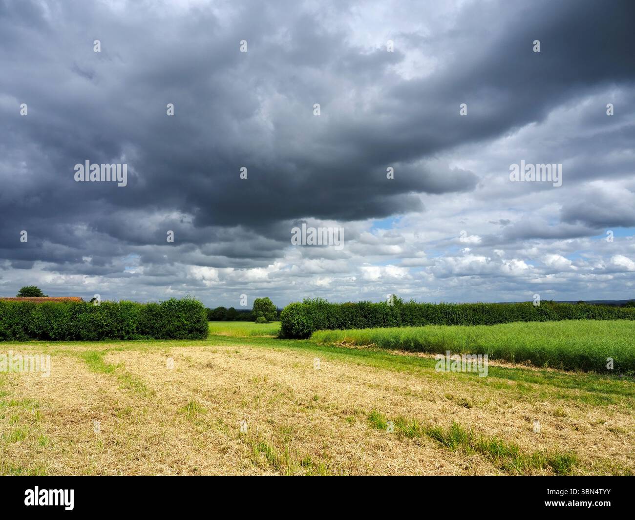 Le nuvole di tempesta estive si radunano su terreni agricoli vicino a Westwood, nel Wiltshire, Inghilterra Foto Stock