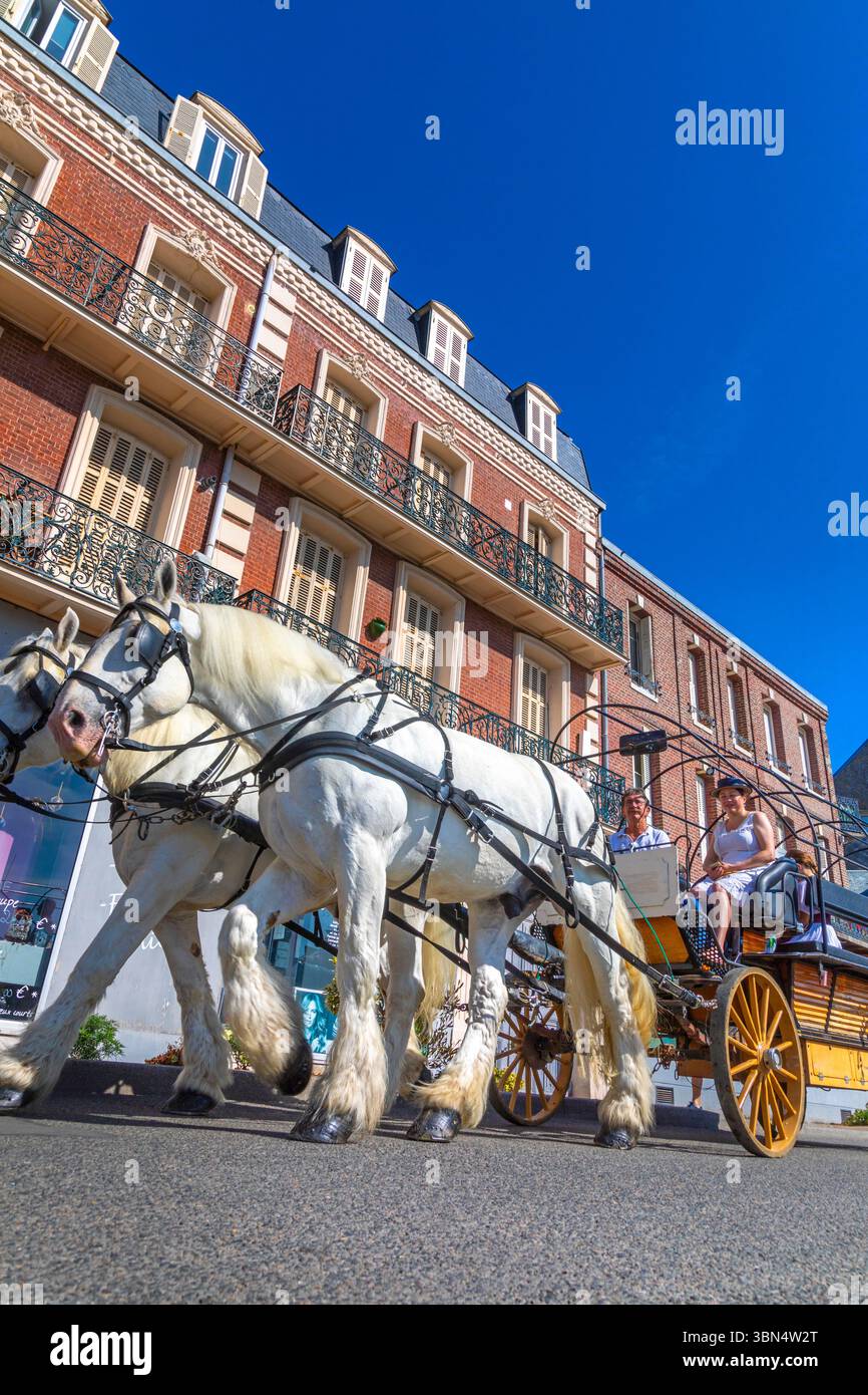 Francia, Normandia, Hauts de France, somme, Mers les bains. carrozza trainata da cavalli nel centro della città. Foto Stock