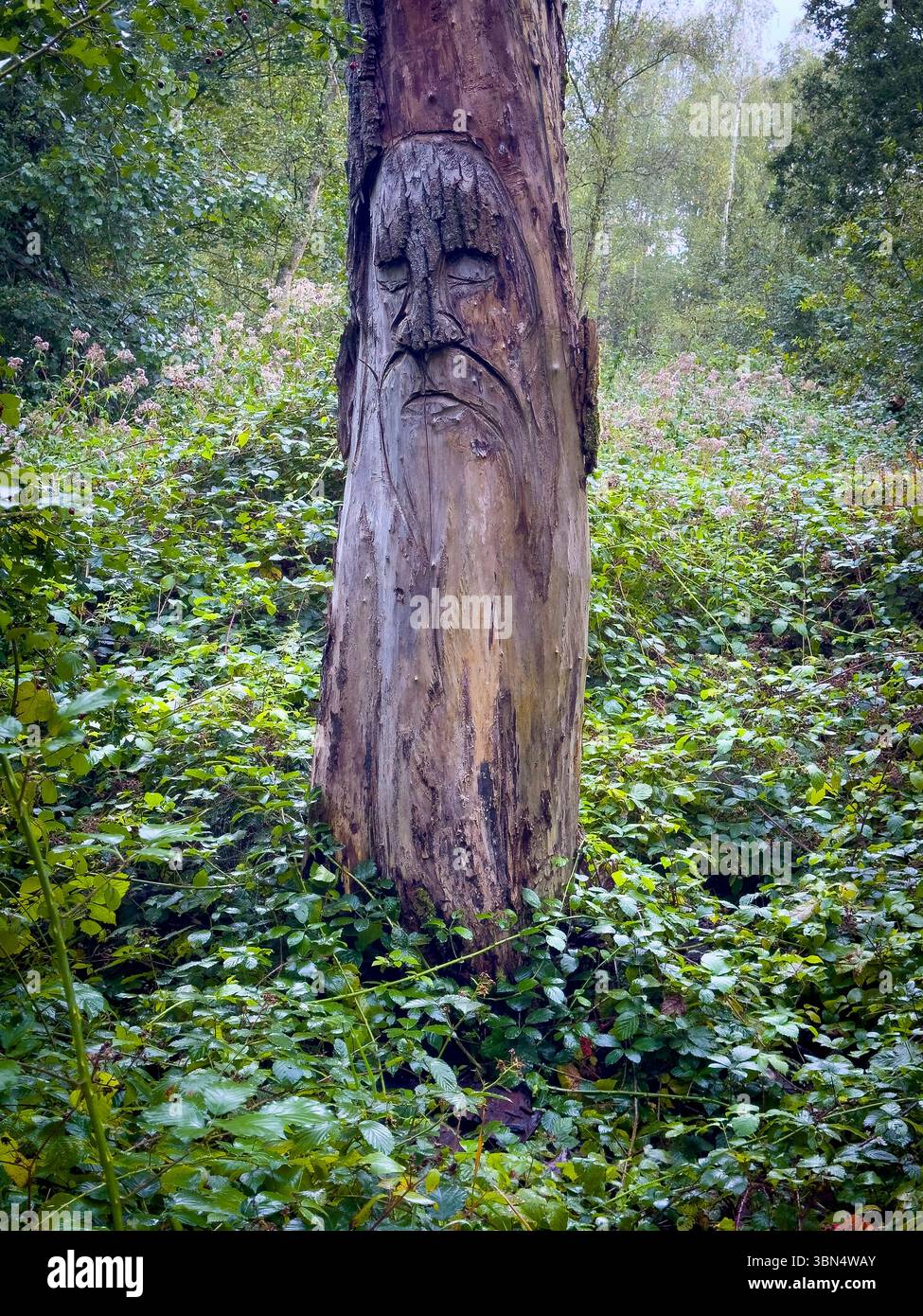 Belgio, regione fiamminga, provincia di Anversa, Boom, dominio provinciale De Schorre Foto Stock