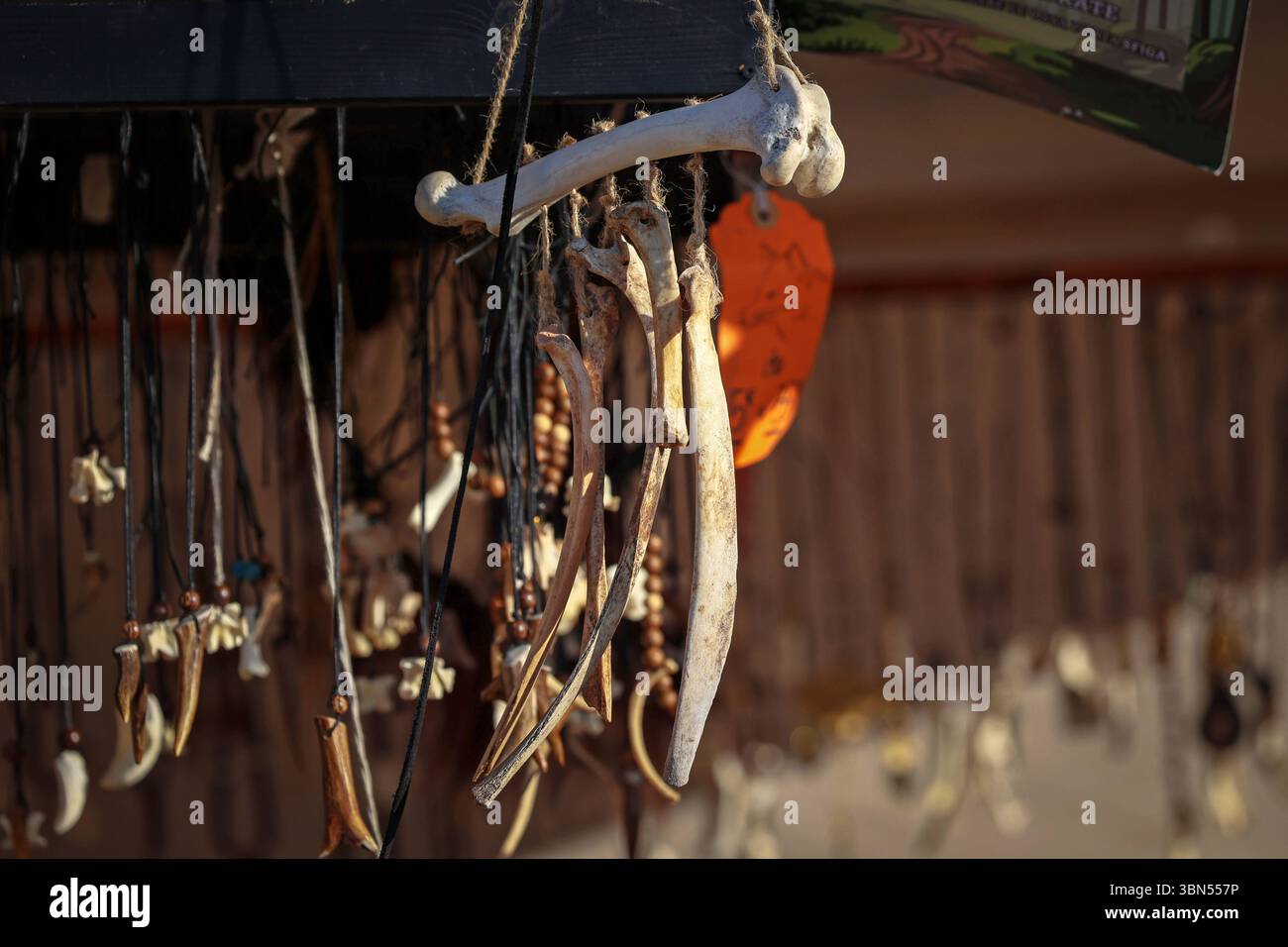 Drakkar Viking Fest, storica rievocazione vichinga. Ladispoli RM, Italia - 28 giugno 2025: Il Drakkar Viking Fest è una rievocazione storica vichinga. Mostra di oggetti realizzati con parti di scheletri animali nello stile della cultura norrena. Ladispoli RM Italia Copyright: XGennaroxLeonardix Foto Stock