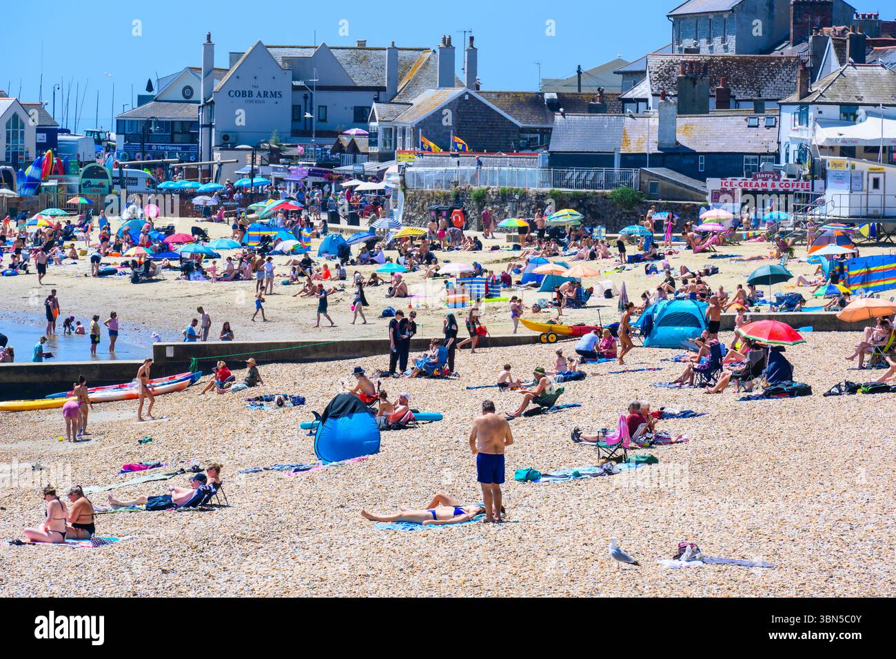 Lyme Regis, Dorset, Regno Unito. 30 giugno 2025. Meteo nel Regno Unito. I bagnanti affollarono la spiaggia affollata presso la località balneare di Lyme Regis per crogiolarsi al caldo sole nel giorno più caldo dell'anno finora. Le temperature sono destinate a salire bene a metà degli anni '30, mentre l'ondata di calore di giugno persiste. Crediti: Celia McMahon/Alamy Live News Foto Stock