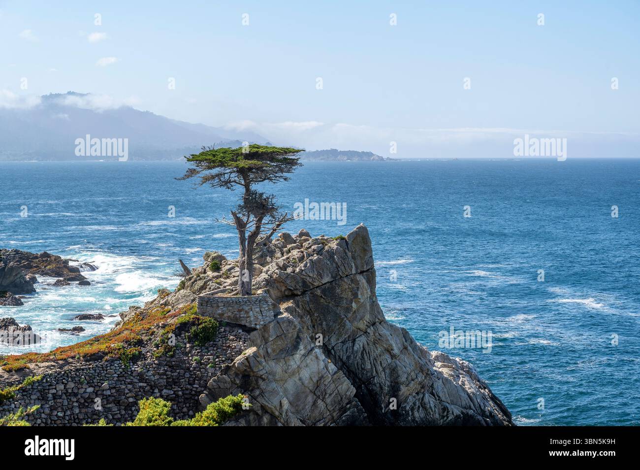 Resistendo contro gli elementi: Lone Cypress si aggrappa al suo arroccato roccioso sopra il Pacifico lungo l'iconica 17-Mile Drive della California, Foto Stock